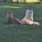 c683bece6 profile picture