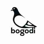 bogodi profile picture